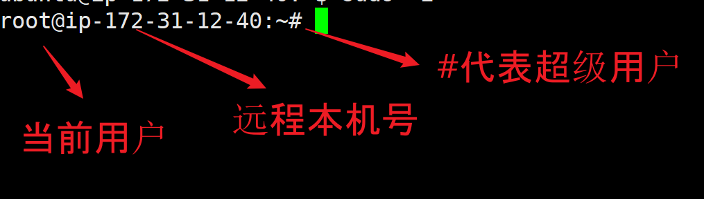 image-20240611113846638