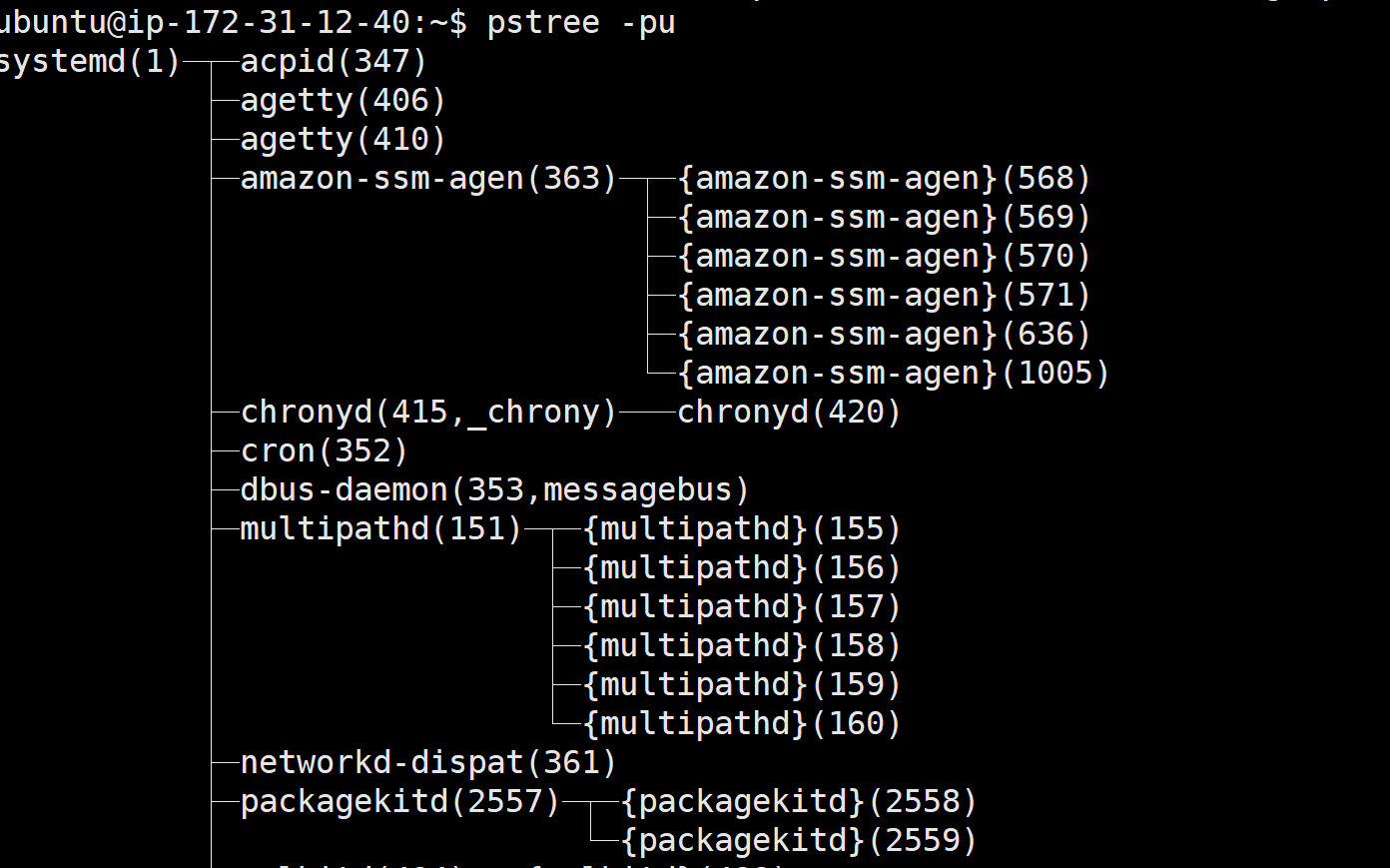 image-20240612191414432